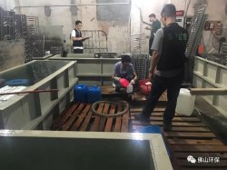 佛山三級(jí)環(huán)保加公安部門聯(lián)合執(zhí)法查處南海2家污企，七人被帶走調(diào)查